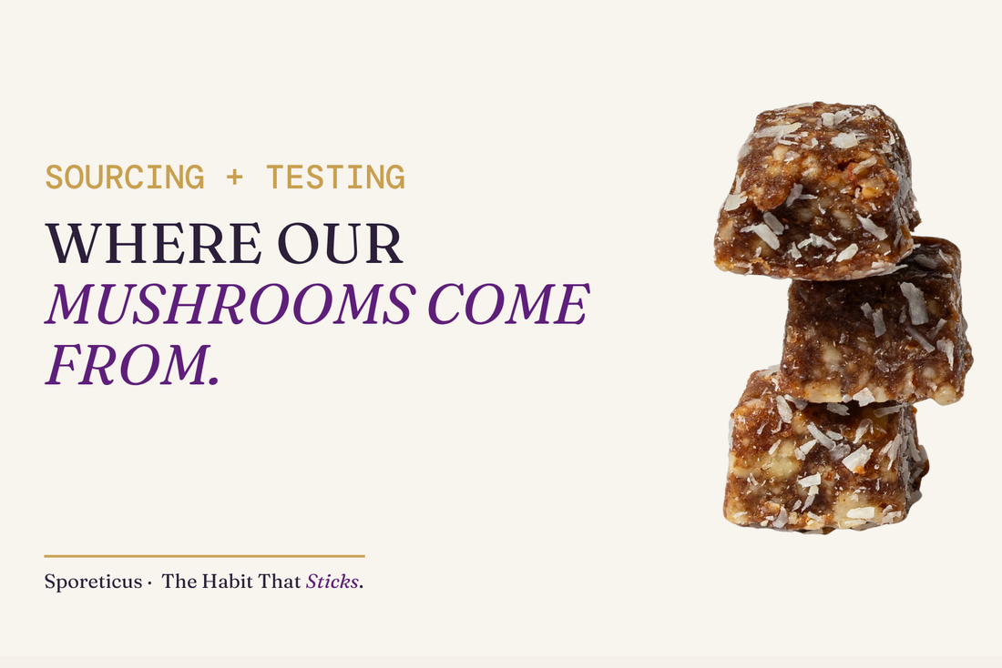 Sporeticus blog hero, eyebrow SOURCING AND TESTING, headline Where our mushrooms come from.