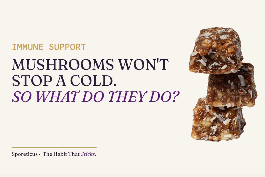 Sporeticus blog hero. Eyebrow reads IMMUNE SUPPORT above the headline Mushrooms won't stop a cold. So what do they do? next to a stack of Sporeticus energy bites.