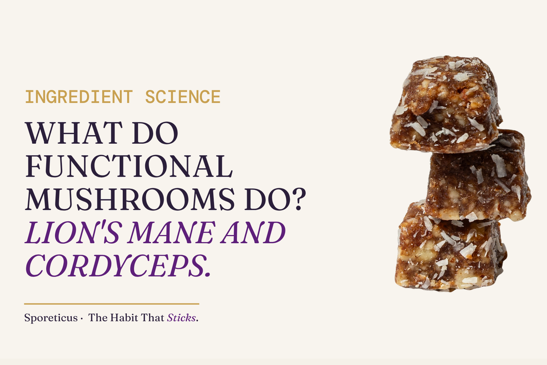 Sporeticus blog hero: INGREDIENT SCIENCE. What do functional mushrooms do? Lion's Mane and Cordyceps. With a stack of Sporeticus Energy Bites.