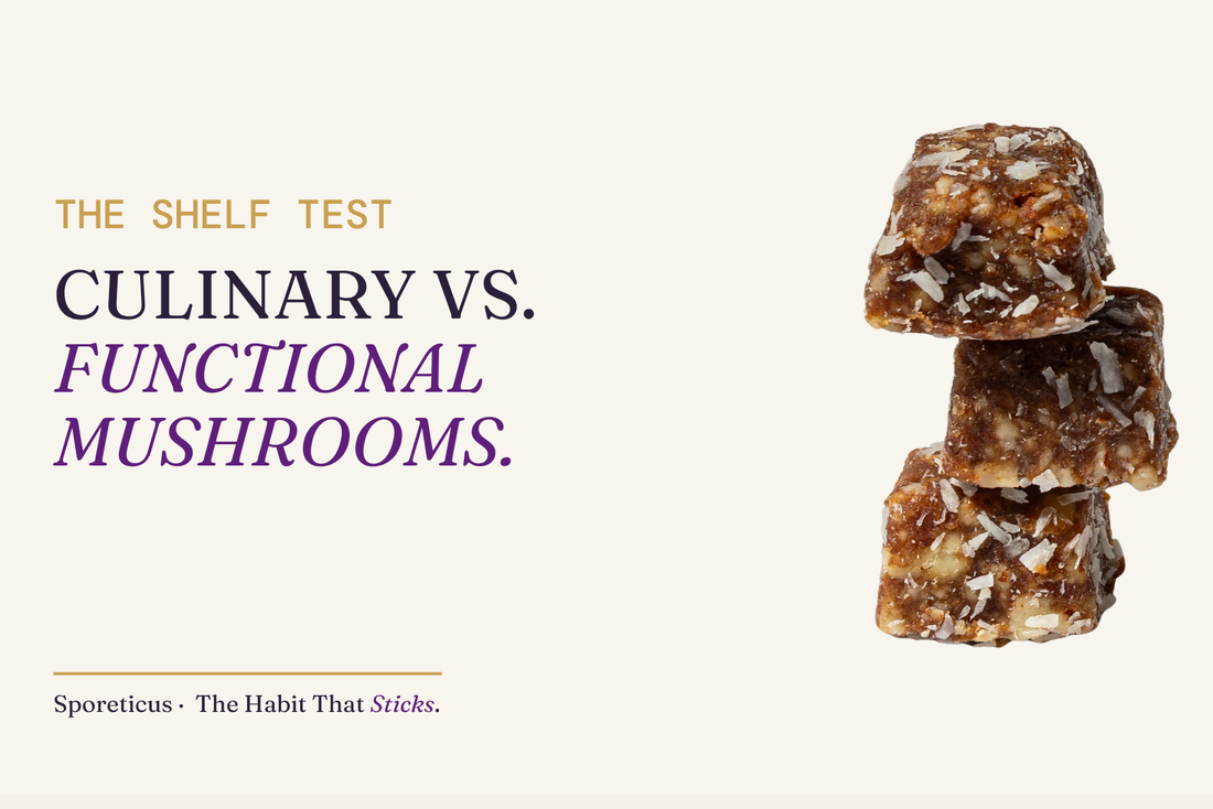 Sporeticus blog hero: THE SHELF TEST. Culinary vs. functional mushrooms. With a stack of Sporeticus Energy Bites.