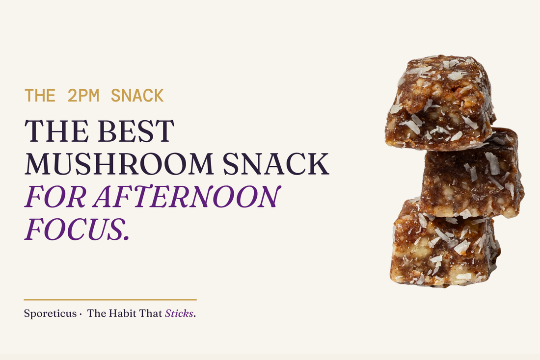 Sporeticus blog hero: THE 2PM SNACK. The best mushroom snack for afternoon focus. With a stack of Sporeticus Energy Bites.