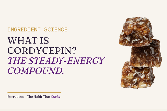 Sporeticus blog hero: INGREDIENT SCIENCE. What is cordycepin? The steady-energy compound. With a stack of Sporeticus Energy Bites.
