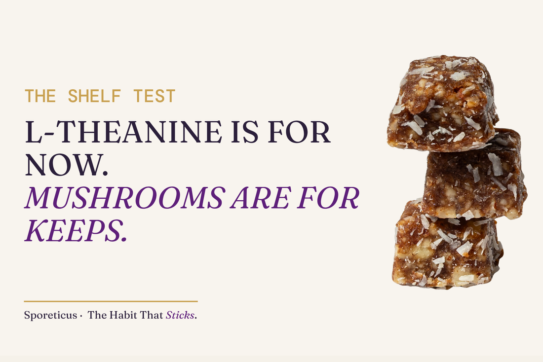 Sporeticus blog hero with the eyebrow THE SHELF TEST and headline reading L-theanine is for now, Mushrooms are for keeps, beside a stack of Sporeticus energy bites.