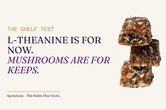 Sporeticus blog hero with the eyebrow THE SHELF TEST and headline reading L-theanine is for now, Mushrooms are for keeps, beside a stack of Sporeticus energy bites.