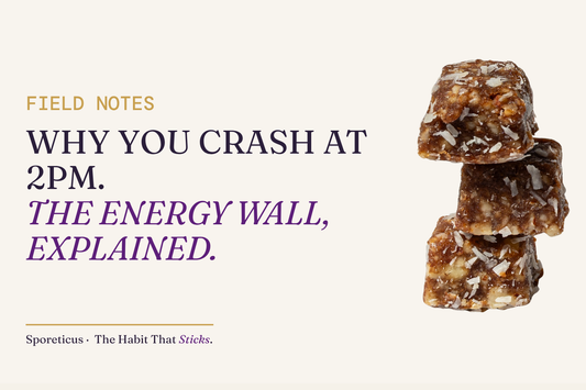 Sporeticus blog hero: FIELD NOTES. Why you crash at 2pm. The energy wall, explained. With a stack of Sporeticus Energy Bites.