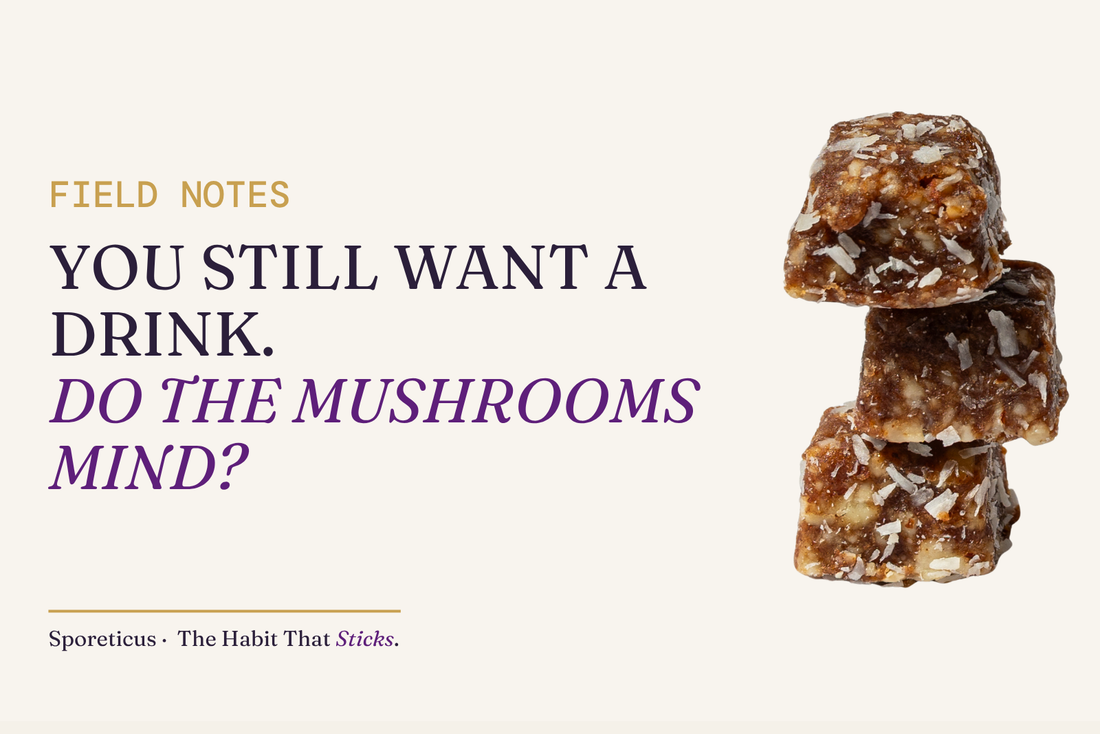 Sporeticus Energy Bites stacked on a royal purple and cream background beside the headline: You still want a drink. Do the mushrooms mind?