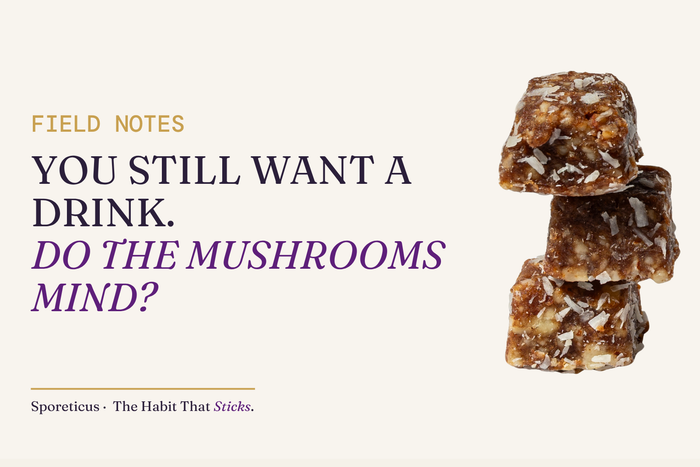 Sporeticus Energy Bites stacked on a royal purple and cream background beside the headline: You still want a drink. Do the mushrooms mind?