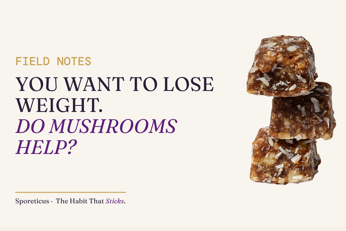 Sporeticus blog hero on a cream background with a stack of energy bites. Eyebrow reads Field Notes. Headline reads: You want to lose weight. Do mushrooms help?