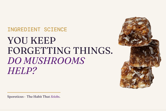 Sporeticus blog hero on a royal background with a stack of energy bites. Eyebrow reads Ingredient Science. Headline reads: You keep forgetting things. Do mushrooms help?