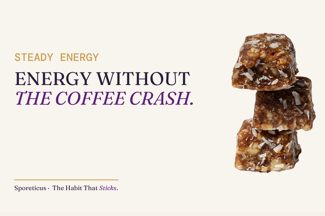 Sporeticus blog hero: STEADY ENERGY. Energy without the coffee crash. With a stack of Sporeticus Energy Bites.