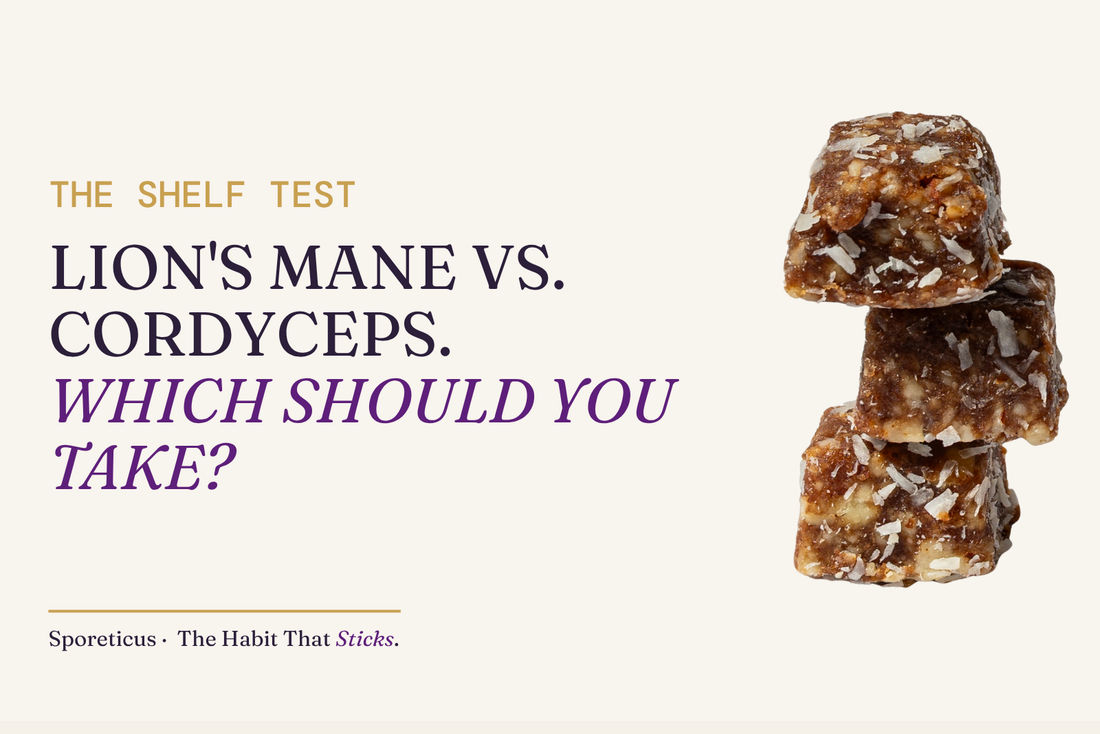 Sporeticus blog hero: THE SHELF TEST. Lion's Mane vs. Cordyceps. Which should you take? With a stack of Sporeticus Energy Bites.