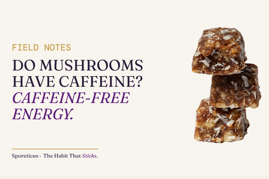 Sporeticus blog hero: FIELD NOTES. Do mushrooms have caffeine? Caffeine-free energy. With a stack of Sporeticus Energy Bites.