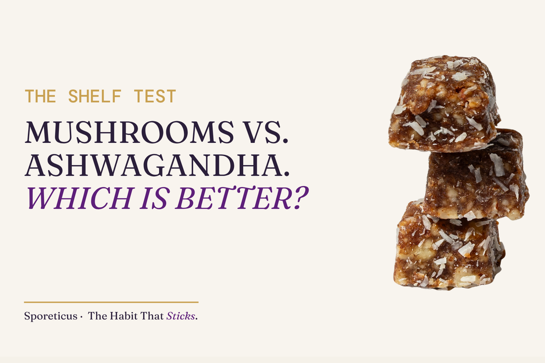 Sporeticus blog hero: THE SHELF TEST. Mushrooms vs. ashwagandha. Which is better? With a stack of Sporeticus Energy Bites.