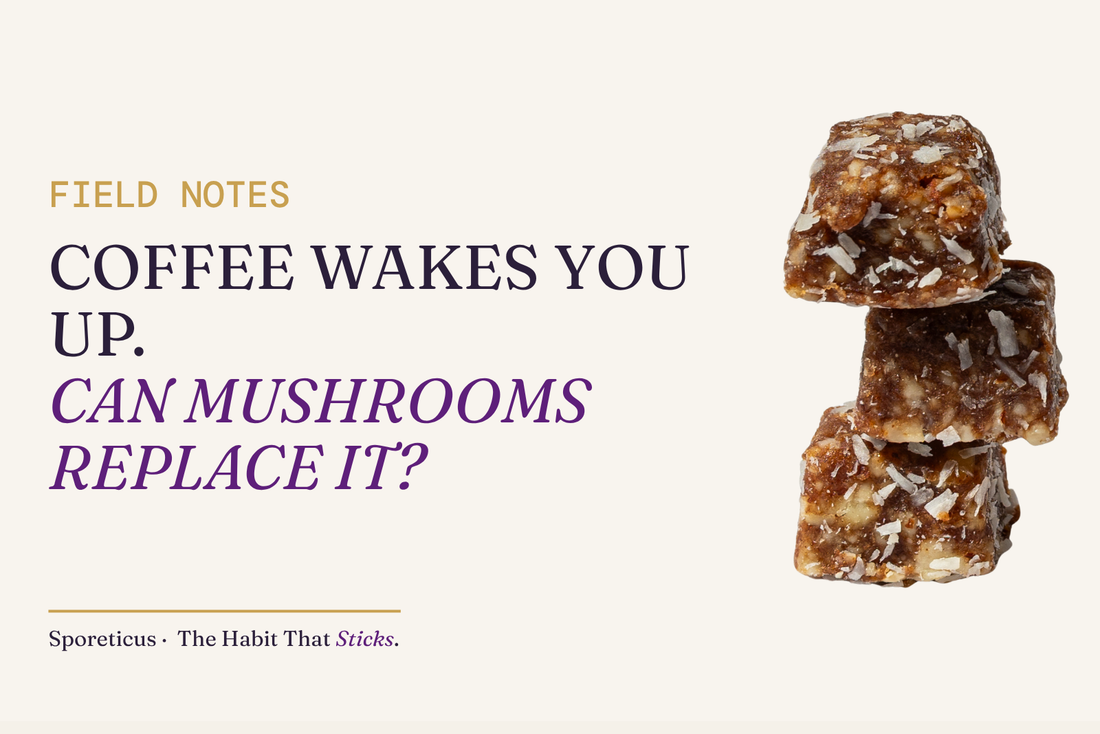 Field Notes. Coffee wakes you up. Can mushrooms replace it? Sporeticus Energy Bites stacked beside the headline.