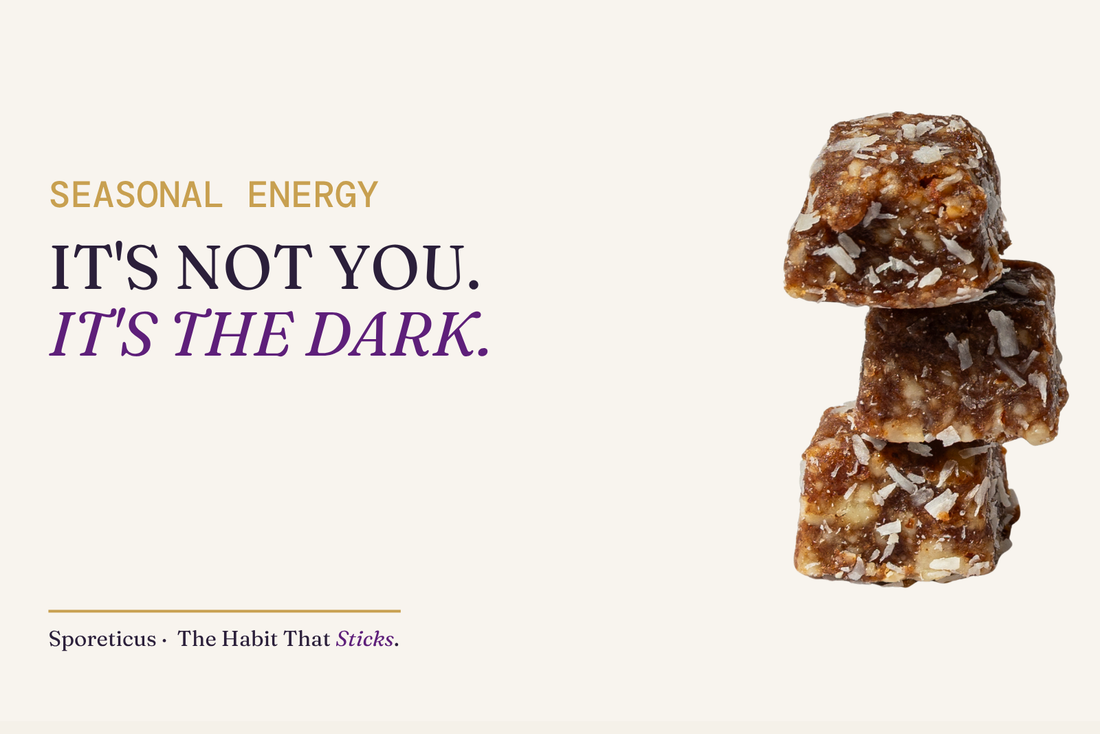 Sporeticus blog hero. Eyebrow reads SEASONAL ENERGY above the headline It's not you. It's the dark. next to a stack of Sporeticus energy bites.