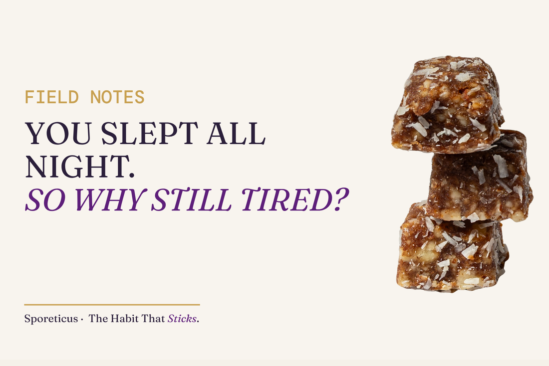 Sporeticus blog hero on a cream background with a stack of mushroom energy bites, headline reading You slept all night, so why still tired?