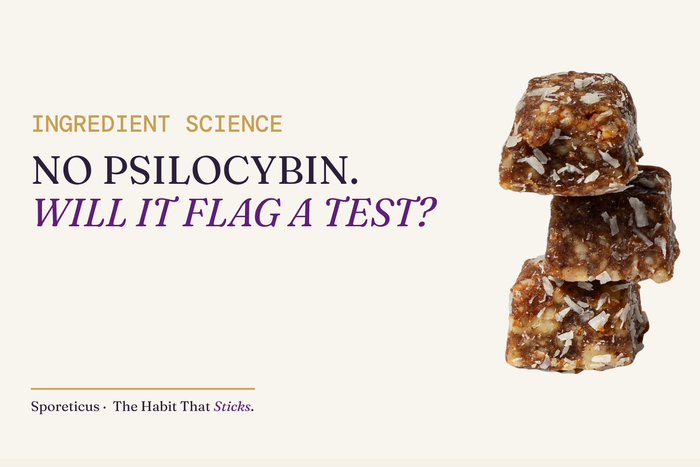 Sporeticus blog hero with eyebrow Ingredient Science and headline reading No psilocybin. Will it flag a test?, beside a stack of Sporeticus Energy Bites.