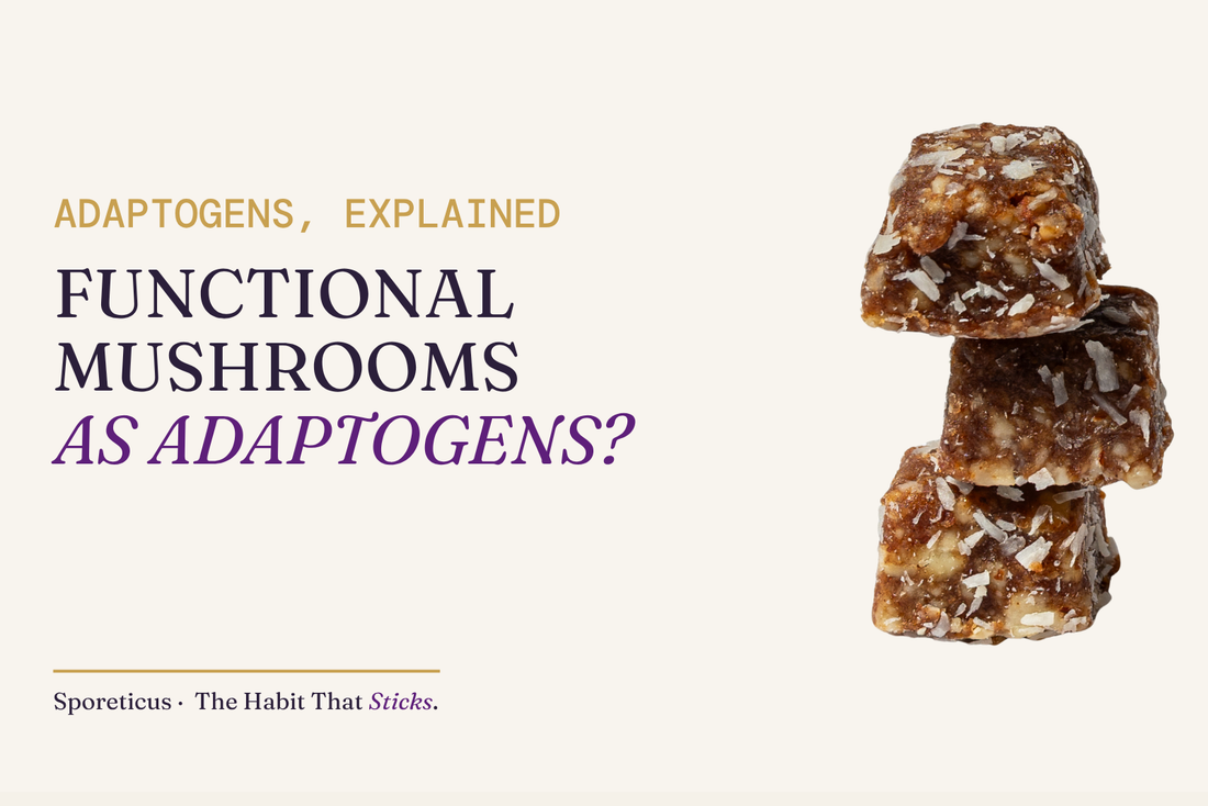 Sporeticus blog hero: ADAPTOGENS, EXPLAINED. Functional mushrooms as adaptogens? With a stack of Sporeticus Energy Bites.