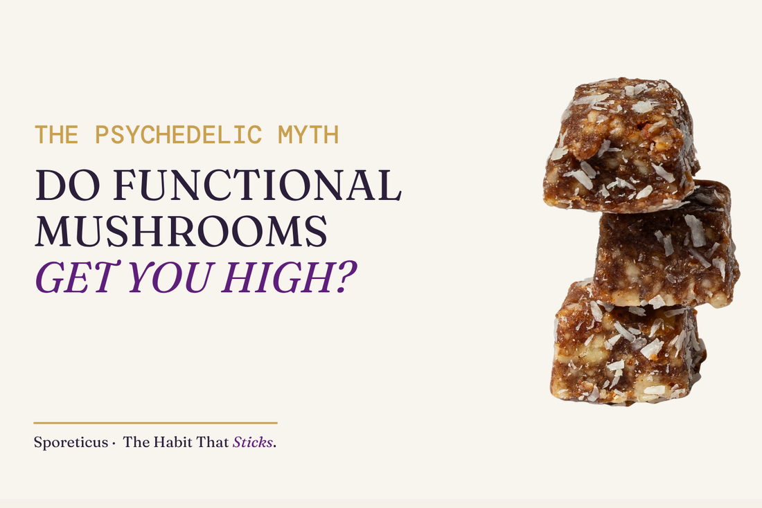 Sporeticus blog hero: THE PSYCHEDELIC MYTH. Do functional mushrooms get you high? With a stack of Sporeticus Energy Bites.