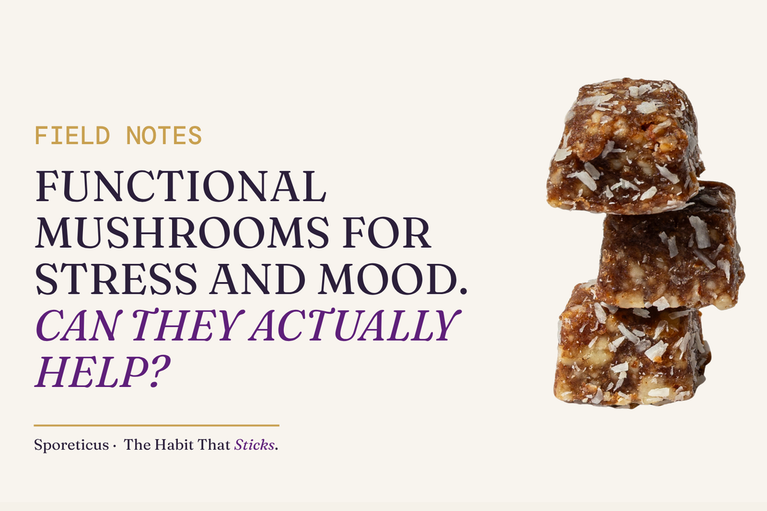 Sporeticus blog hero: FIELD NOTES. Functional mushrooms for stress and mood. Can they actually help? With a stack of Sporeticus Energy Bites.