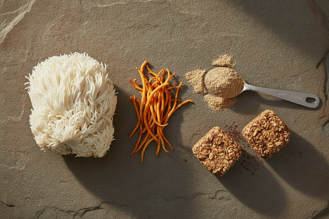 How Much Lion's Mane and Cordyceps Should You Take Per Day?