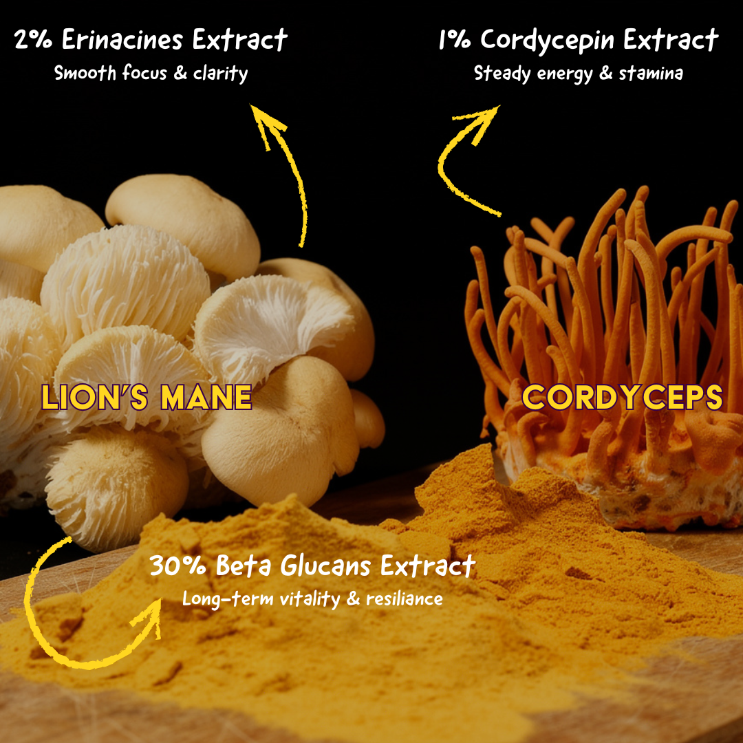 Sporeticus Daily Momentum organic energy bites nutrition and extract specs
