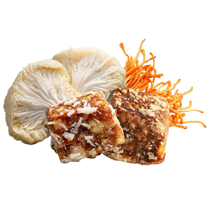 Two square slices of a energy bite sprinkled with coconut flakes, shown with a large lion's mane mushroom and cordyceps mushroom on a plain white background.