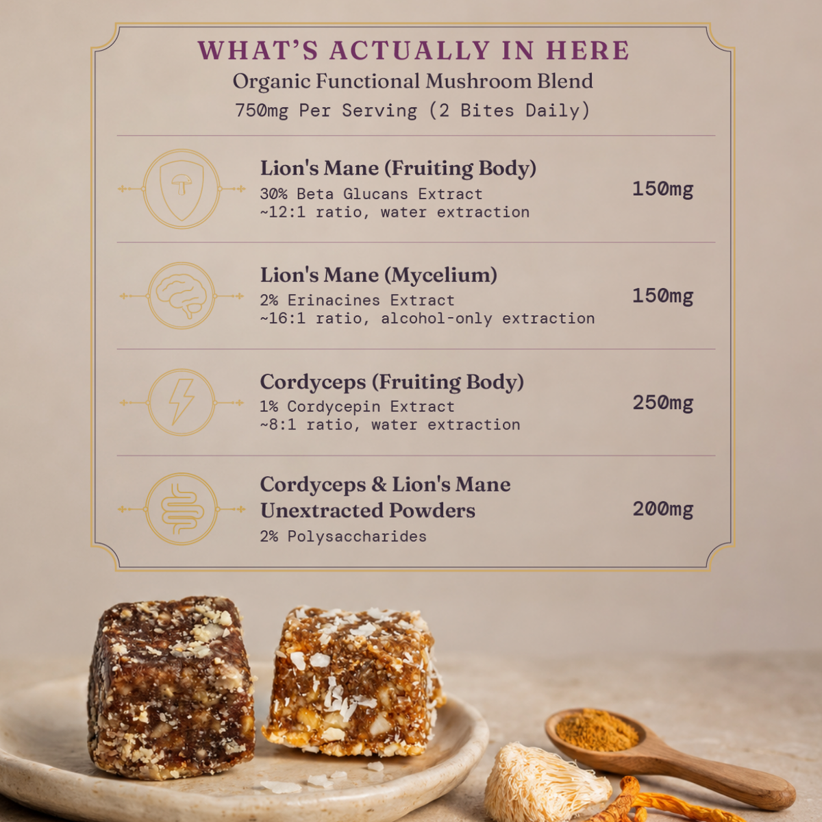 An informational product graphic for mushroom blend powders. The top section contains a labeled ingredient list titled 'WHAT'S ACTUALLY IN HERE' with Lion's Mane and Cordyceps extracts and their mg values.