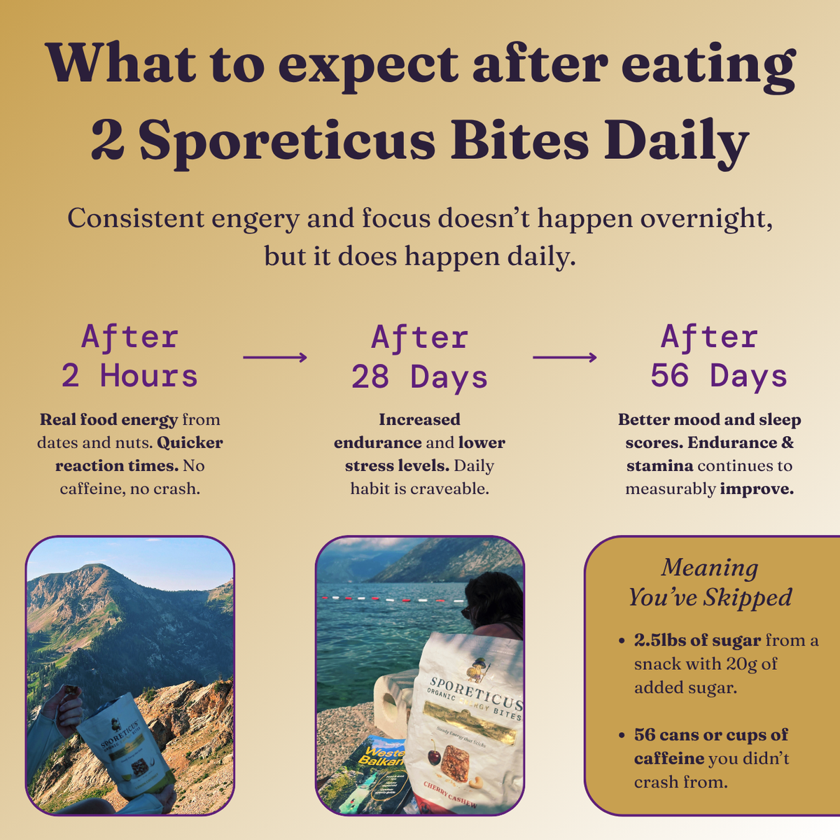 An informational infographic with the headline 'What to expect after eating 2 Sporeticus Bites Daily' on a beige background. It includes explanatory text about energy, focus, sugar reduction, and caffeine tolerance over 2 hours, 28, and 56 days, plus two small lifestyle photos showing a person hiking, a person at a lake.
